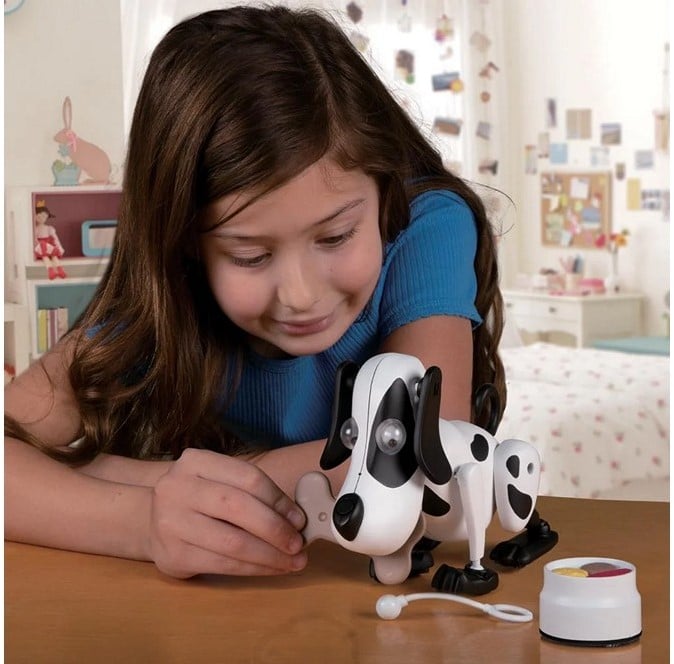 Kooky Knitters Playfull Bailey