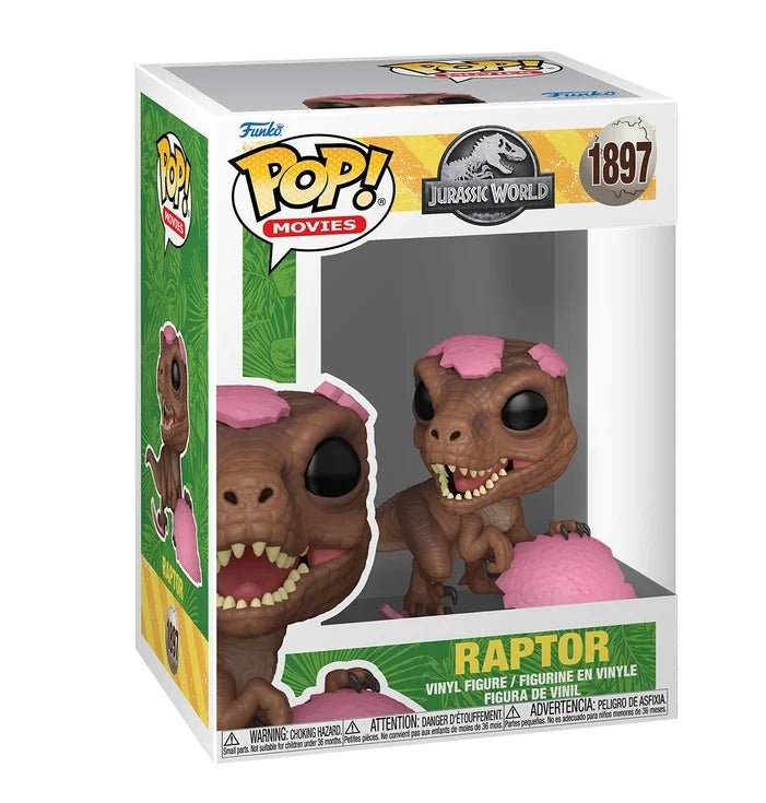 Pop Raptor 1897