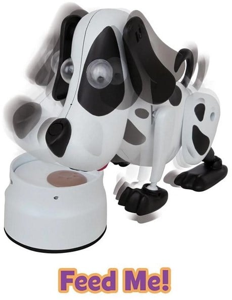 Kooky Knitters Playfull Bailey